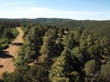 33031 Big Springs Overlook - Photo 22