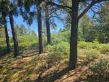 33031 Big Springs Overlook - Photo 24