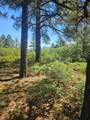 33031 Big Springs Overlook - Photo 25