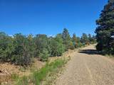 33031 Big Springs Overlook - Photo 27
