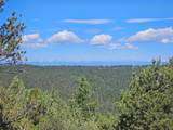 33031 Big Springs Overlook - Photo 29