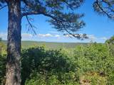 33031 Big Springs Overlook - Photo 30