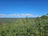 33031 Big Springs Overlook - Photo 31