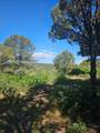 33031 Big Springs Overlook - Photo 33