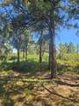 33031 Big Springs Overlook - Photo 34