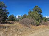 33031 Big Springs Overlook - Photo 4