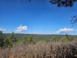 33031 Big Springs Overlook - Photo 5