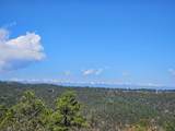 33031 Big Springs Overlook - Photo 6