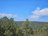 33031 Big Springs Overlook - Photo 7