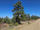 33375 Mountain View - Photo 10