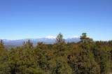 33375 Mountain View - Photo 11