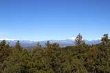 33375 Mountain View - Photo 12