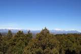 33375 Mountain View - Photo 13