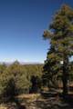 33375 Mountain View - Photo 14