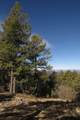 33375 Mountain View - Photo 15