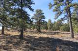 33375 Mountain View - Photo 16