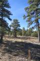 33375 Mountain View - Photo 17