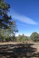 33375 Mountain View - Photo 18