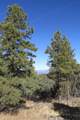 33375 Mountain View - Photo 19