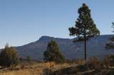 33375 Mountain View - Photo 21