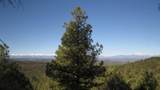 33375 Mountain View - Photo 24
