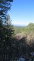 33375 Mountain View - Photo 27