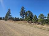 33375 Mountain View - Photo 3