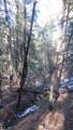 33375 Mountain View - Photo 33
