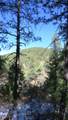 33375 Mountain View - Photo 37