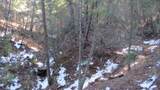 33375 Mountain View - Photo 45