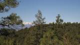 33375 Mountain View - Photo 46