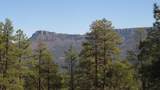 33375 Mountain View - Photo 47