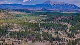 14901 County Rd 31.9 - Photo 44