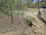 17990 King Rd - Photo 13
