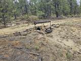 17990 King Rd - Photo 14