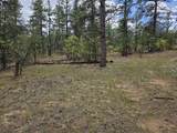 17990 King Rd - Photo 4
