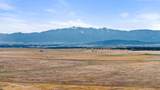 TBD Mule Deer Drive - Photo 1