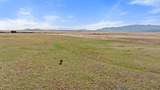 TBD Mule Deer Drive - Photo 2