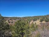 TBD Ponderosa Drive - Photo 17