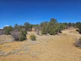 TBD Ponderosa Drive - Photo 4
