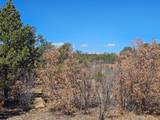 TBD Ponderosa Drive - Photo 5