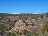 TBD Ponderosa Drive - Photo 6