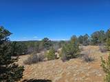 TBD Ponderosa Drive - Photo 9
