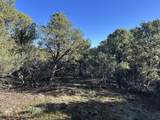 lot 165 Silver Spurs Ranch - Photo 10