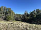 lot 165 Silver Spurs Ranch - Photo 12