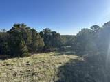 lot 165 Silver Spurs Ranch - Photo 13