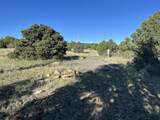 lot 165 Silver Spurs Ranch - Photo 3