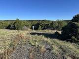 lot 165 Silver Spurs Ranch - Photo 4
