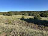 lot 165 Silver Spurs Ranch - Photo 5