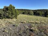 lot 165 Silver Spurs Ranch - Photo 7